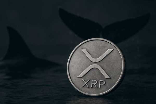 XRP price analysis