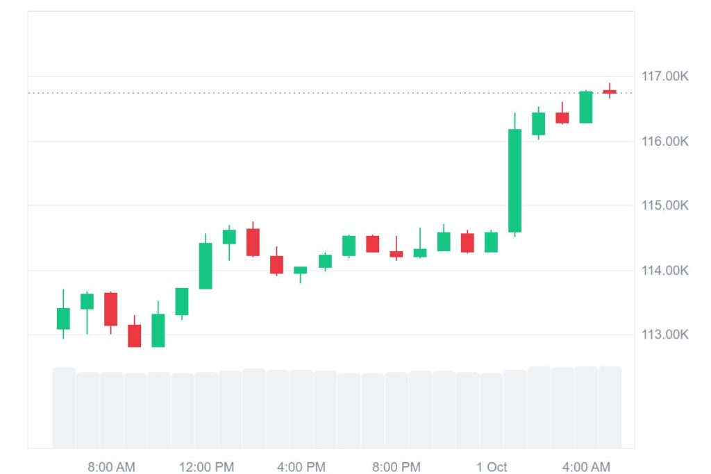 Bitcoin (BTC) price chart