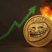 TROLL Price